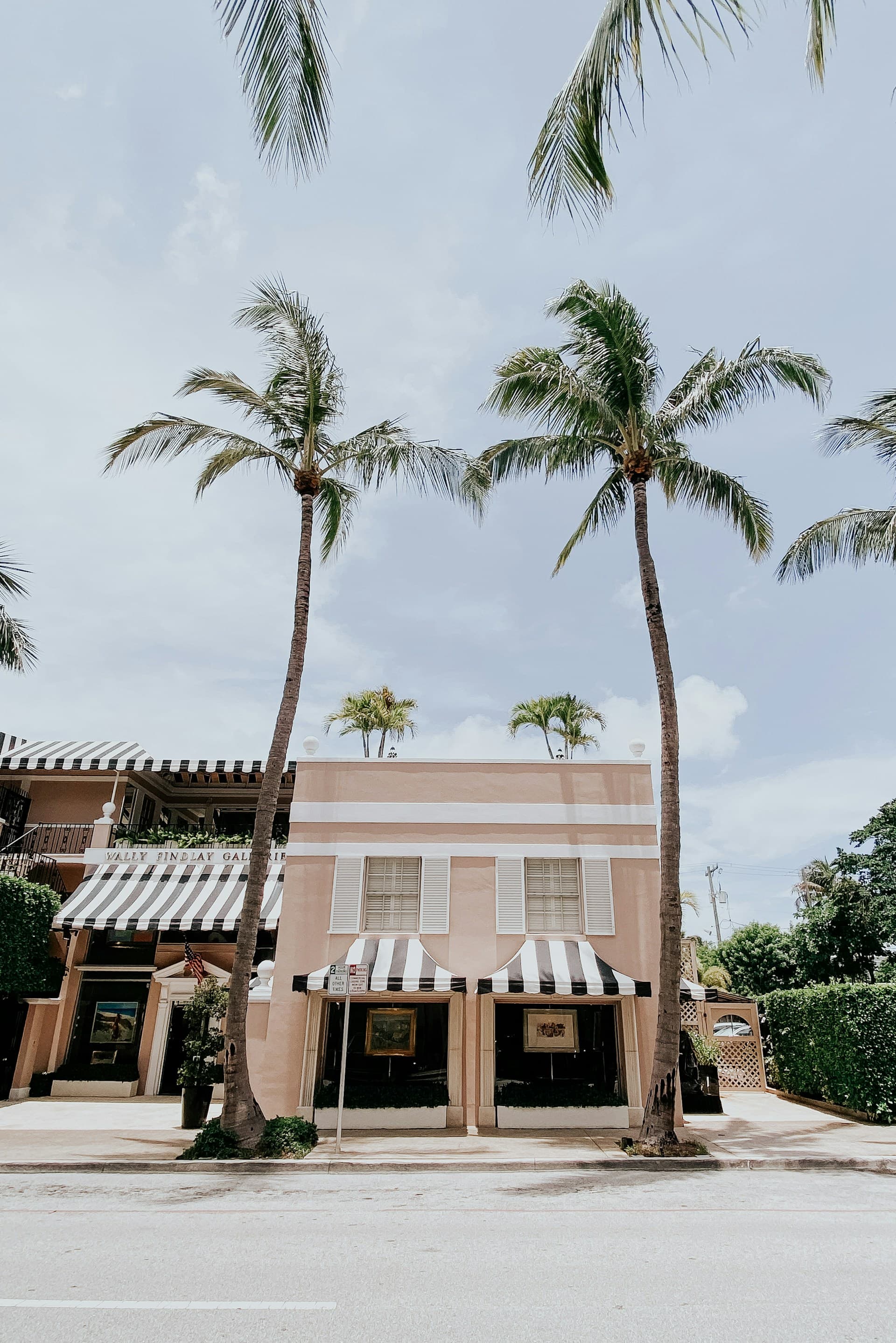 Palm-lined street — Palm Beach, Palm Beach County, Florida